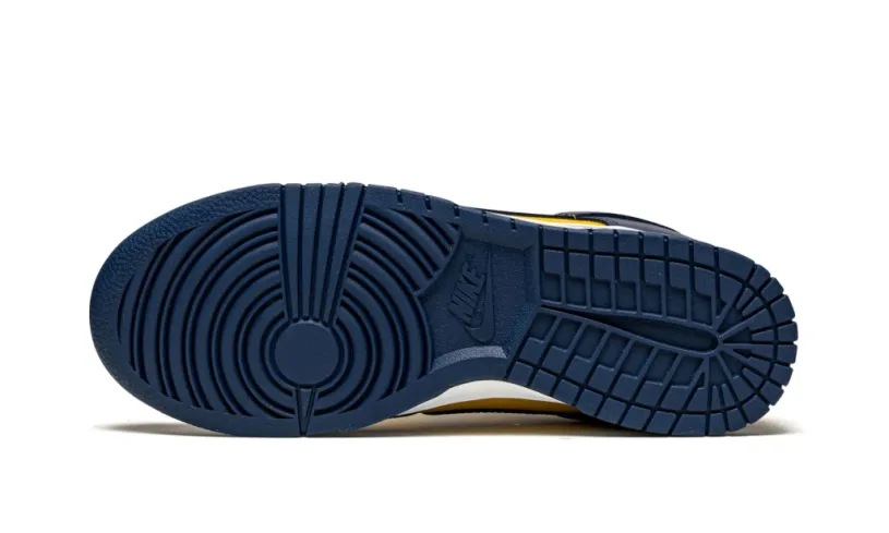 Dunk Low 'Michigan' 2021 Reps 