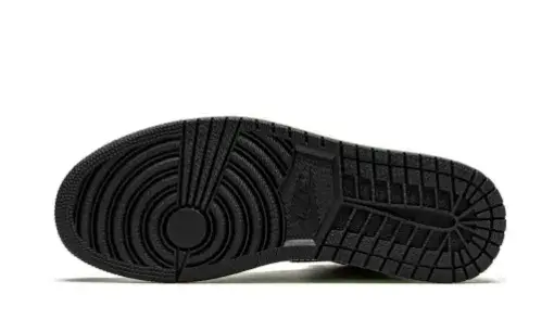 Air Jordan 1 Retro High OG 'Bio Hack' Reps 