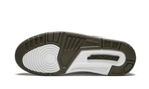 Air Jordan 3 Retro 'Mocha' 2018 Reps 